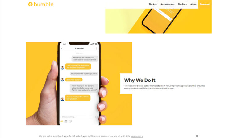 Bumble Review 2023 – Is It Safe and Reliable?