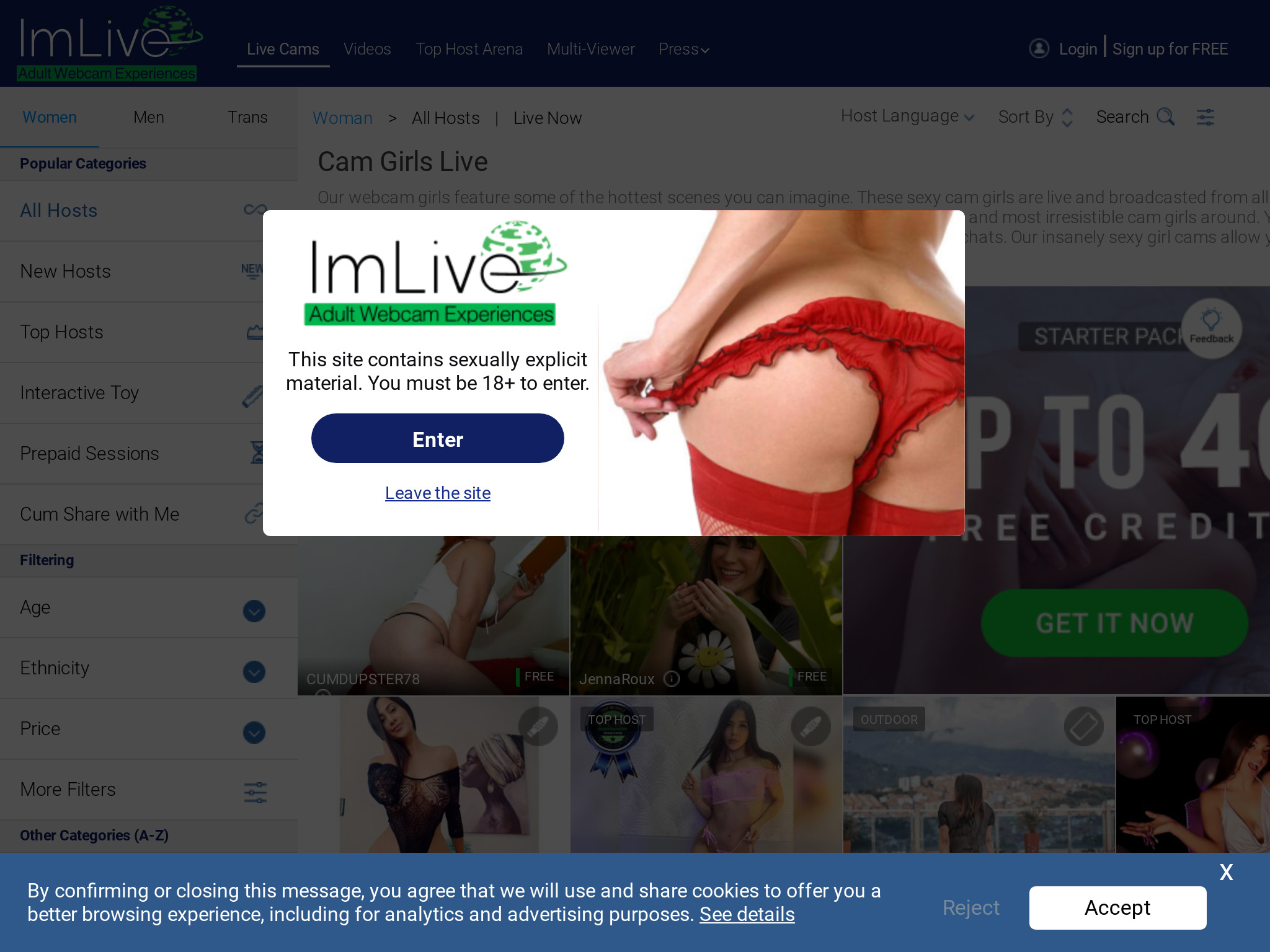 Exploring the World of Online Dating – 2023 ImLive Review